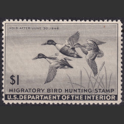 Picture of Lot #55136