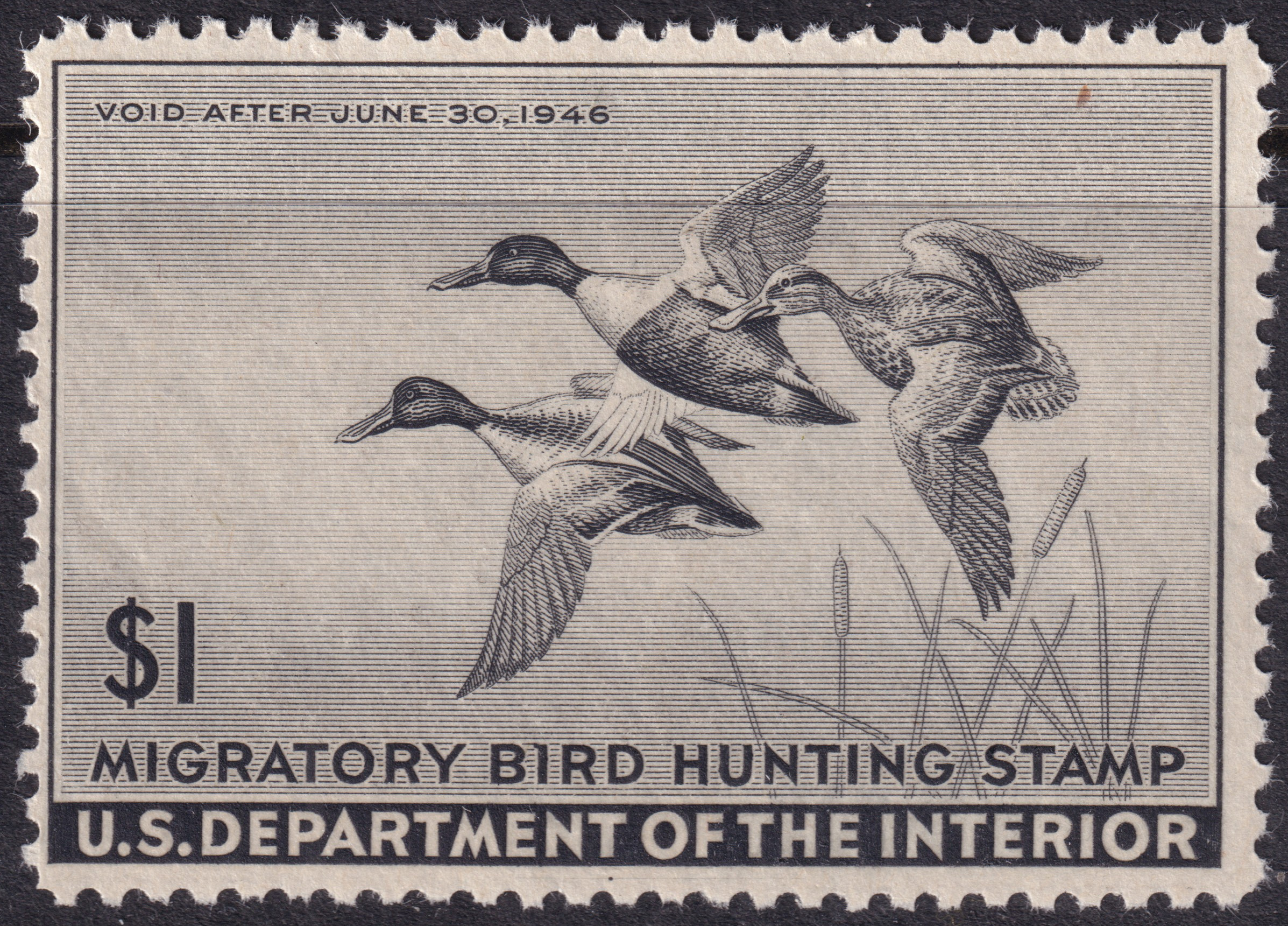 Stamp Picture