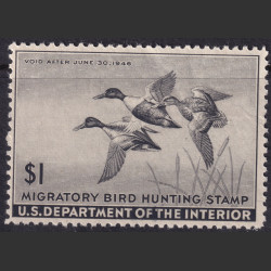 Picture of Lot #55137