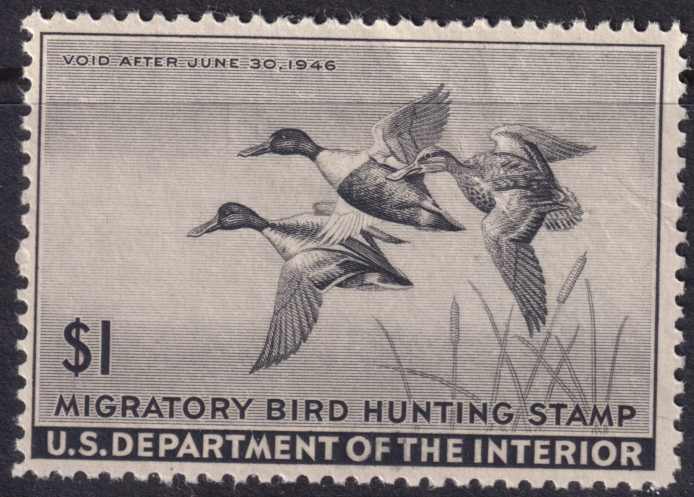 Stamp Picture