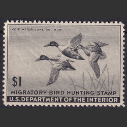 Picture of Lot #55138
