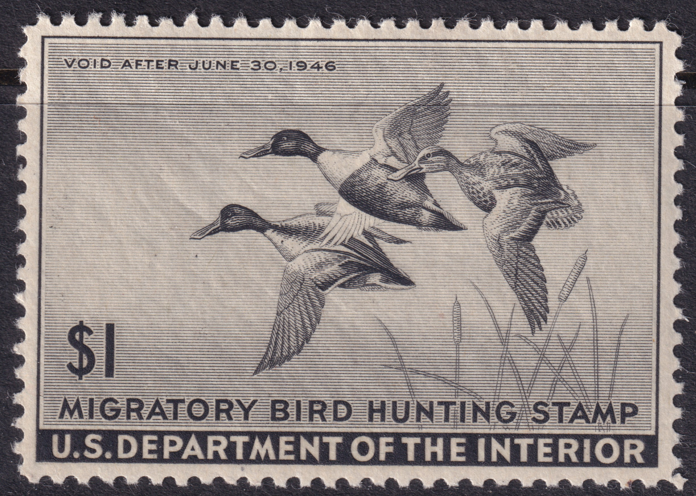 Stamp Picture