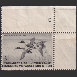 Picture of Lot #55139