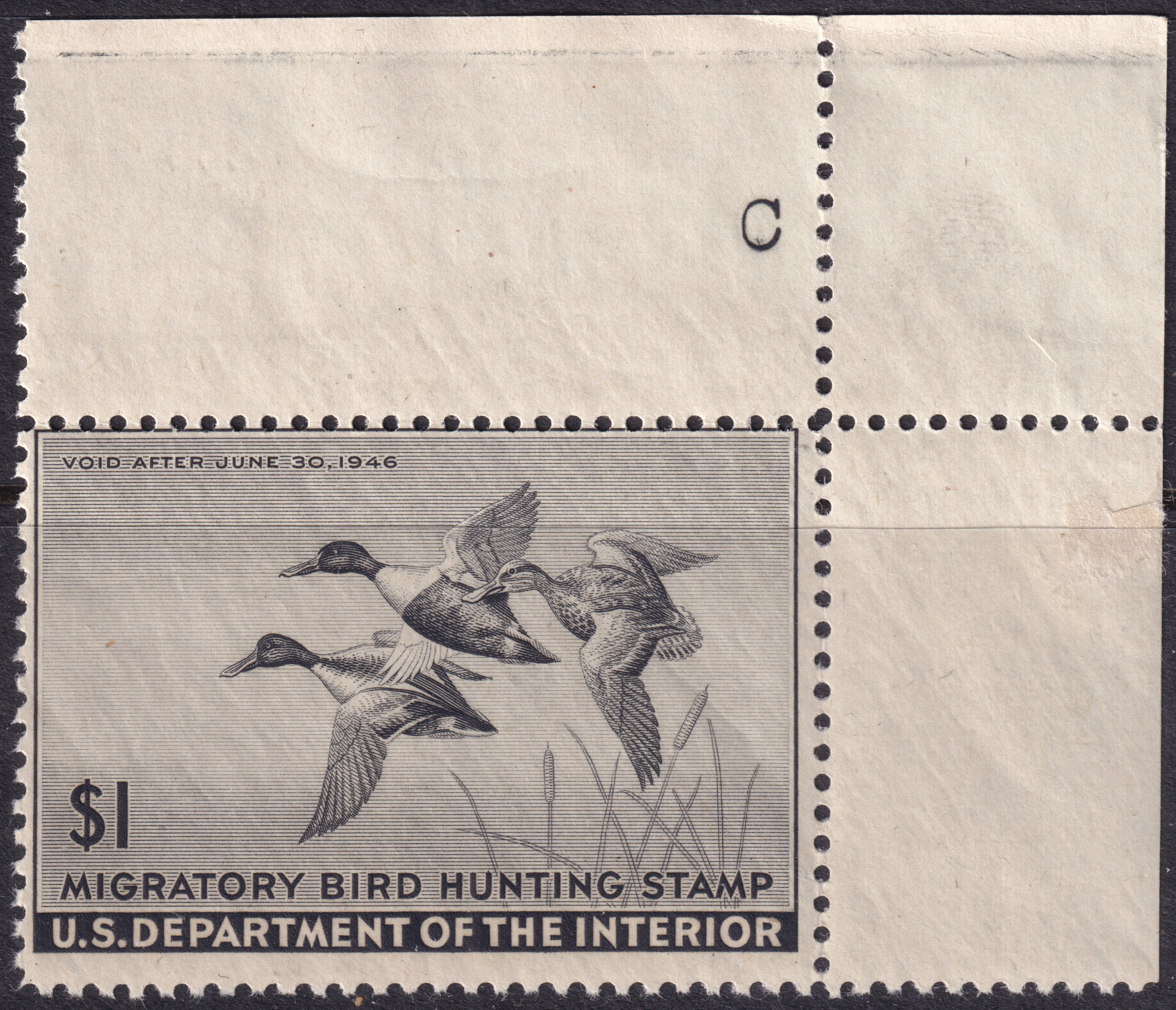 Stamp Picture