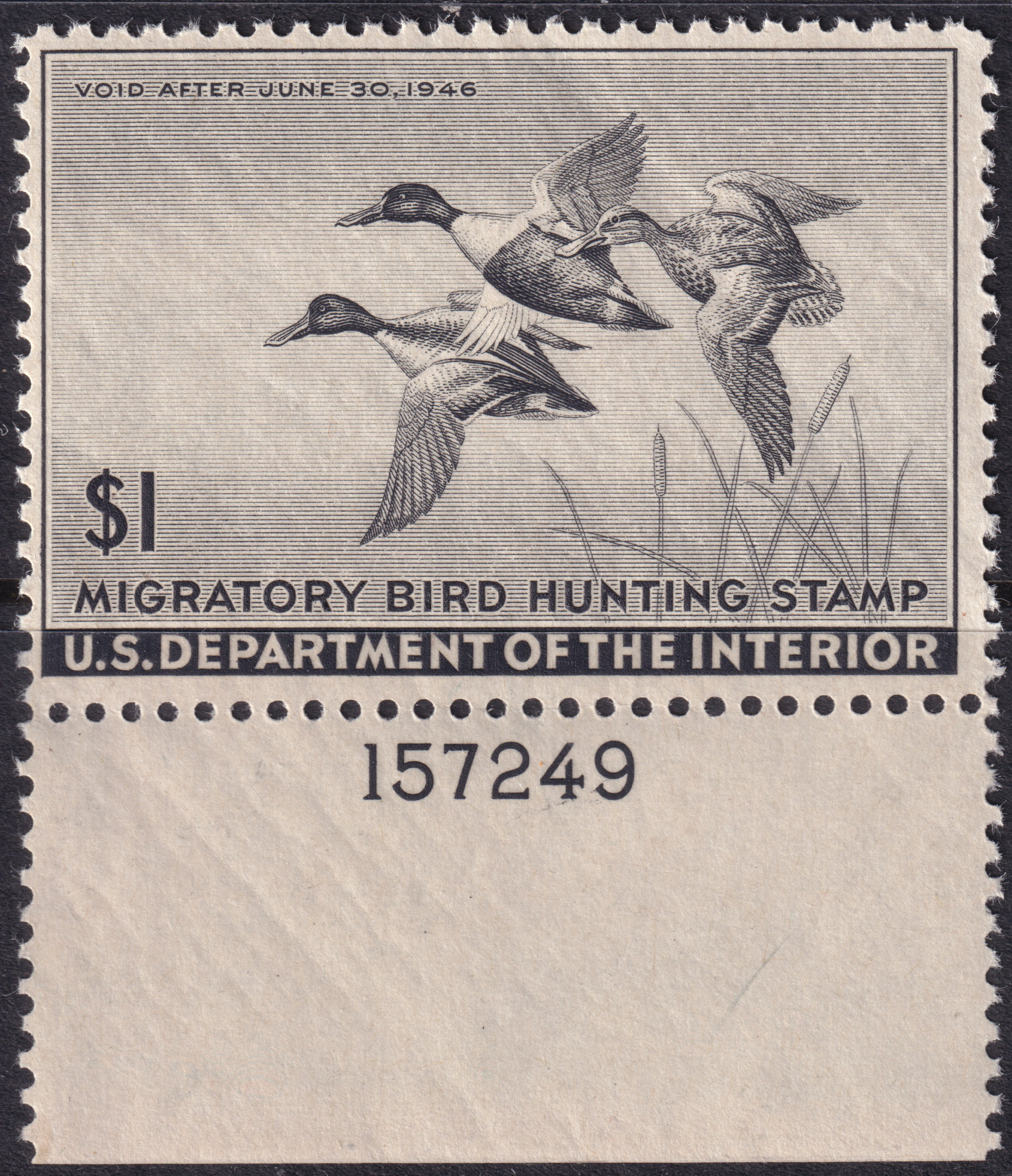Stamp Picture