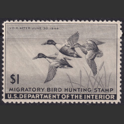 Picture of Lot #55141