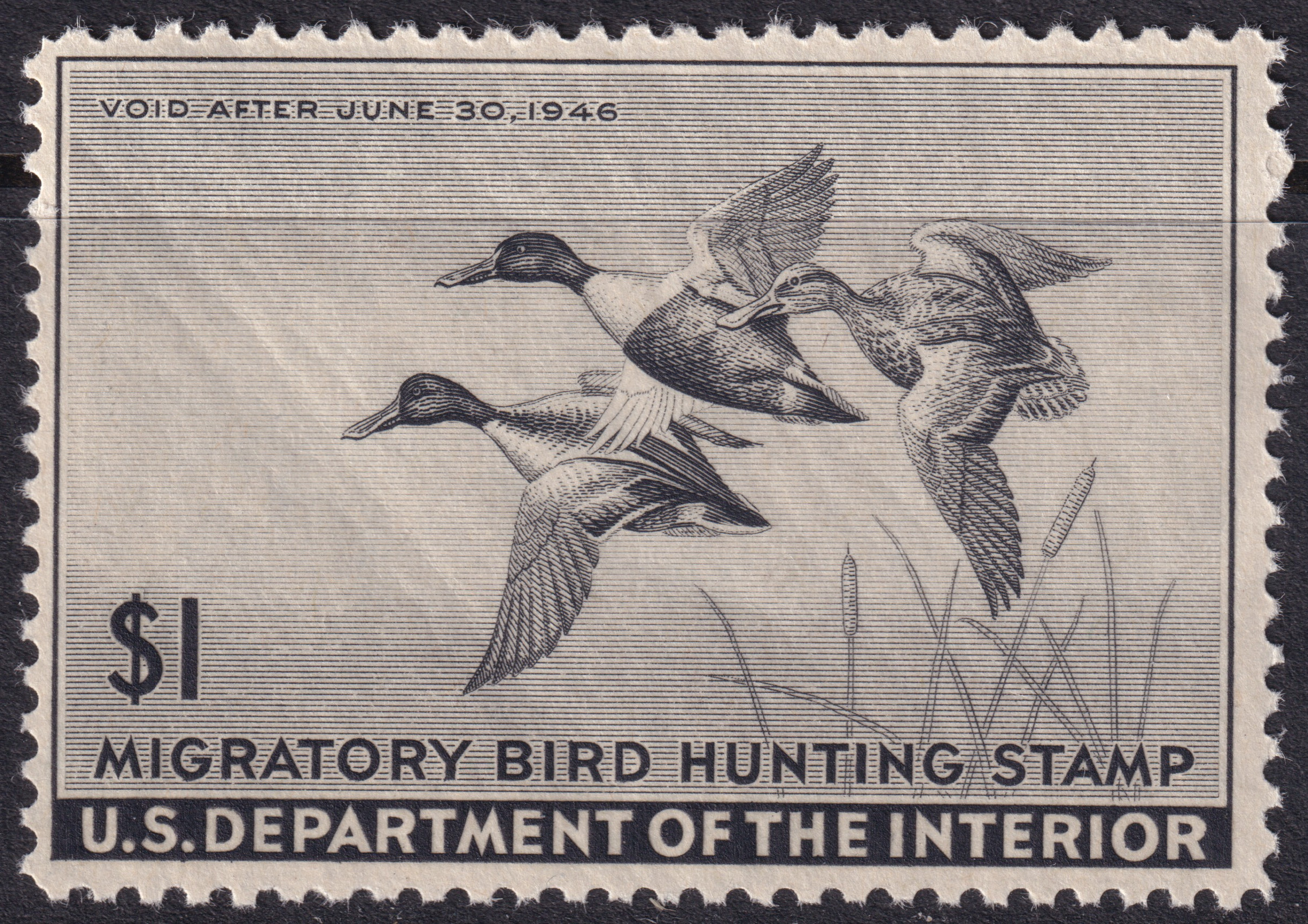 Stamp Picture