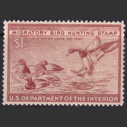 Picture of Lot #55142