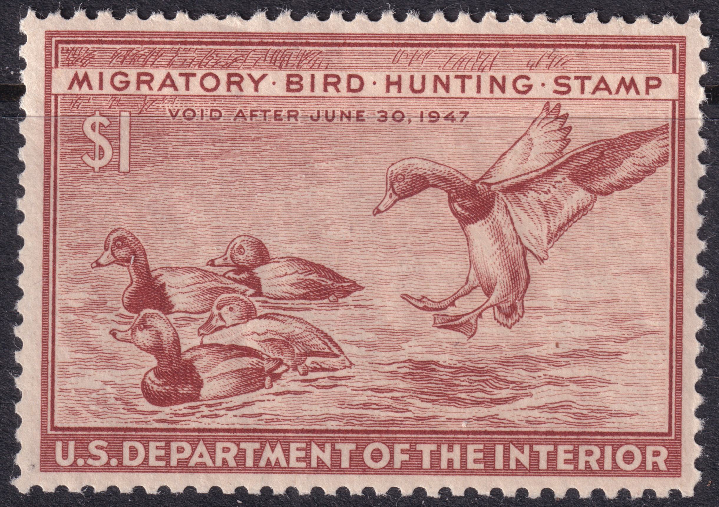 Stamp Picture