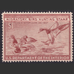 Picture of Lot #55143