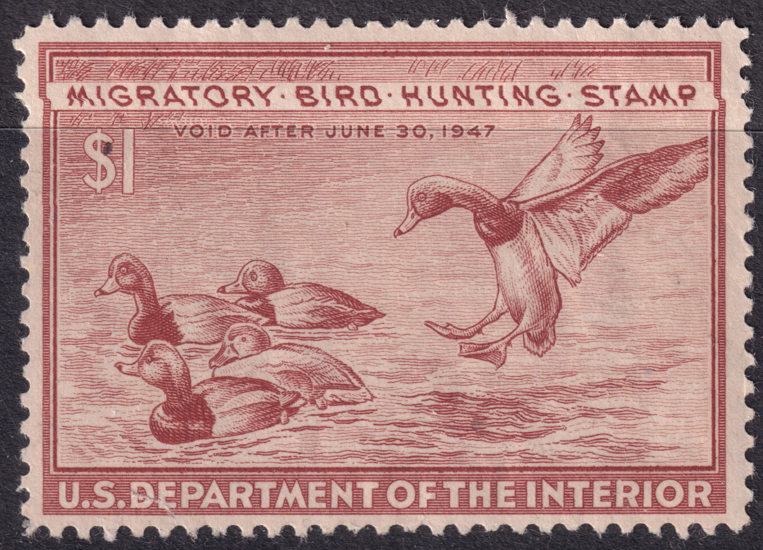 Stamp Picture