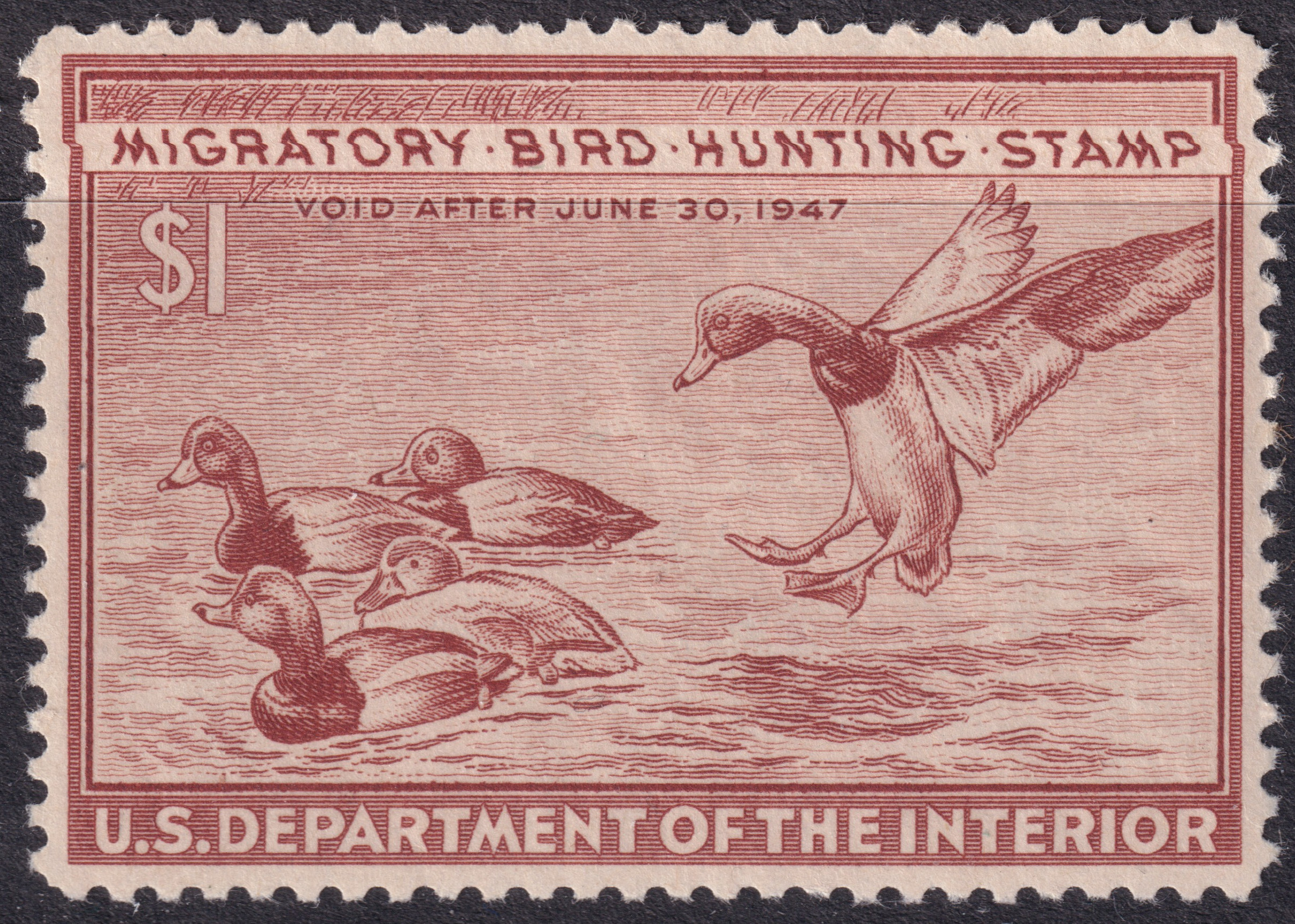 Stamp Picture