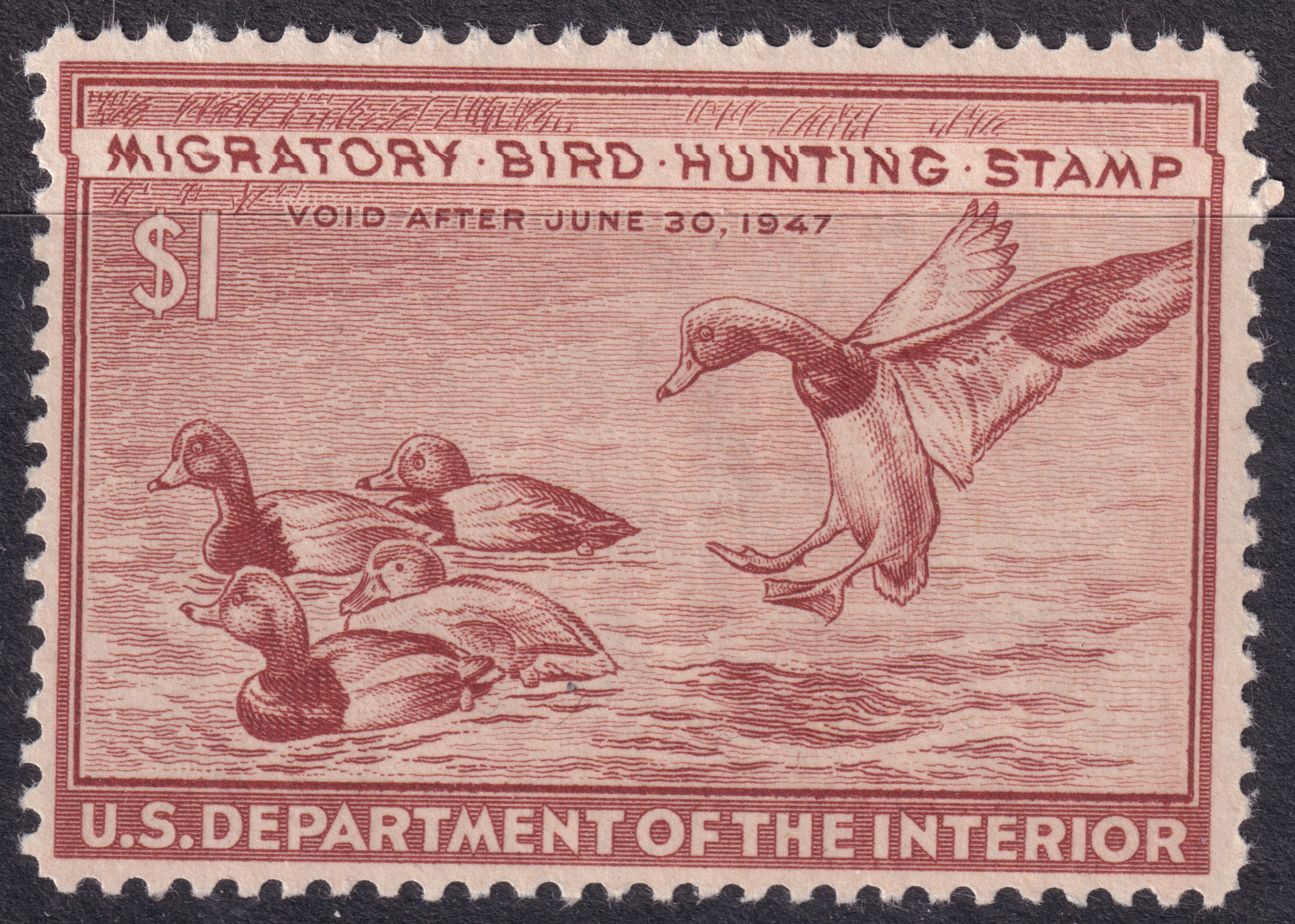 Stamp Picture
