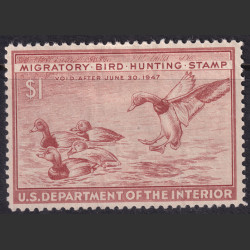 Picture of Lot #55146