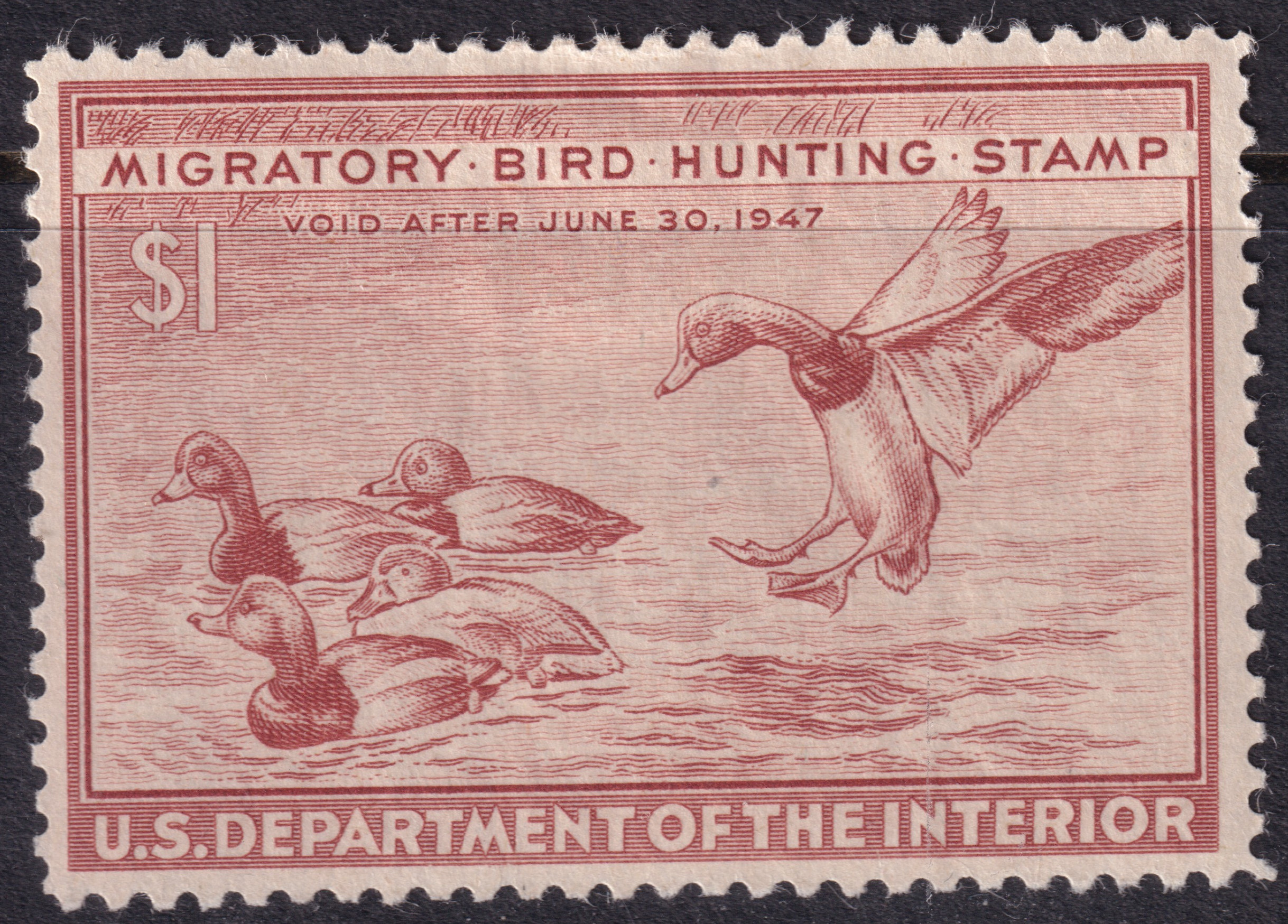 Stamp Picture