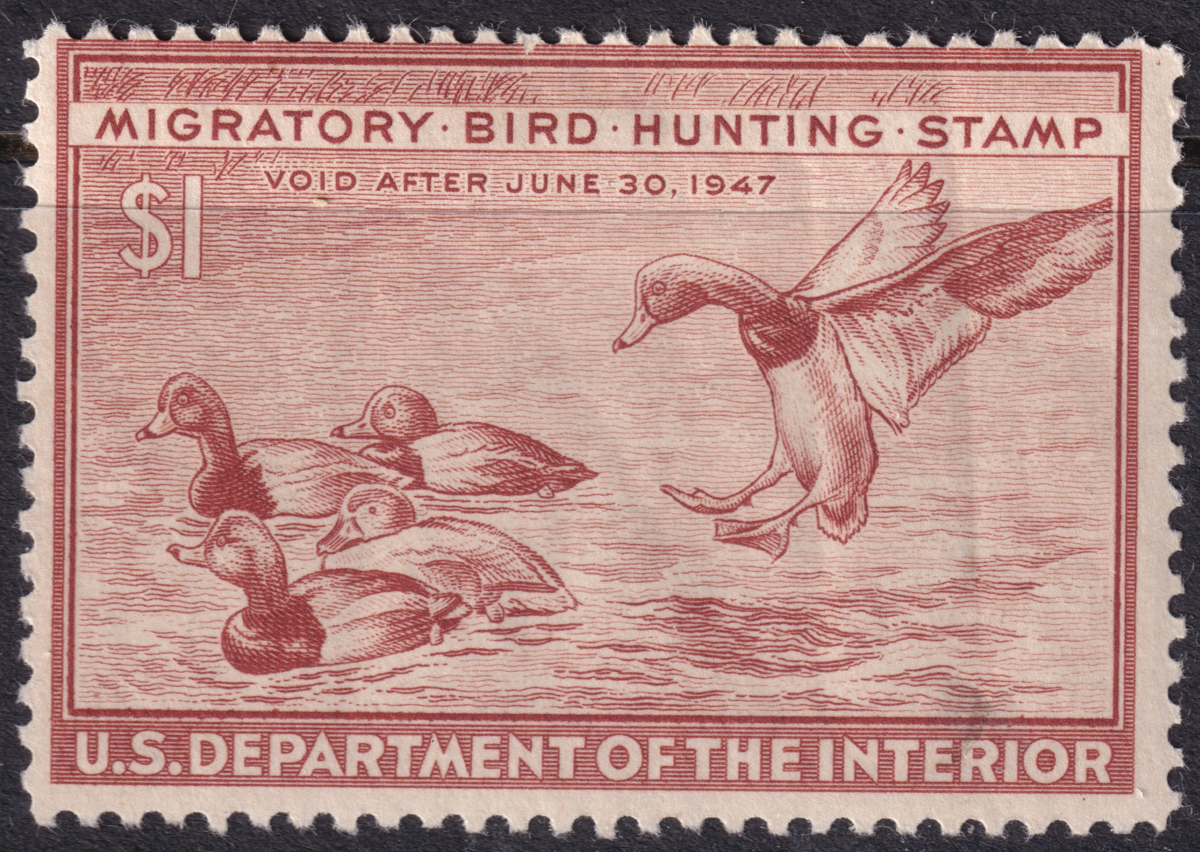 Stamp Picture