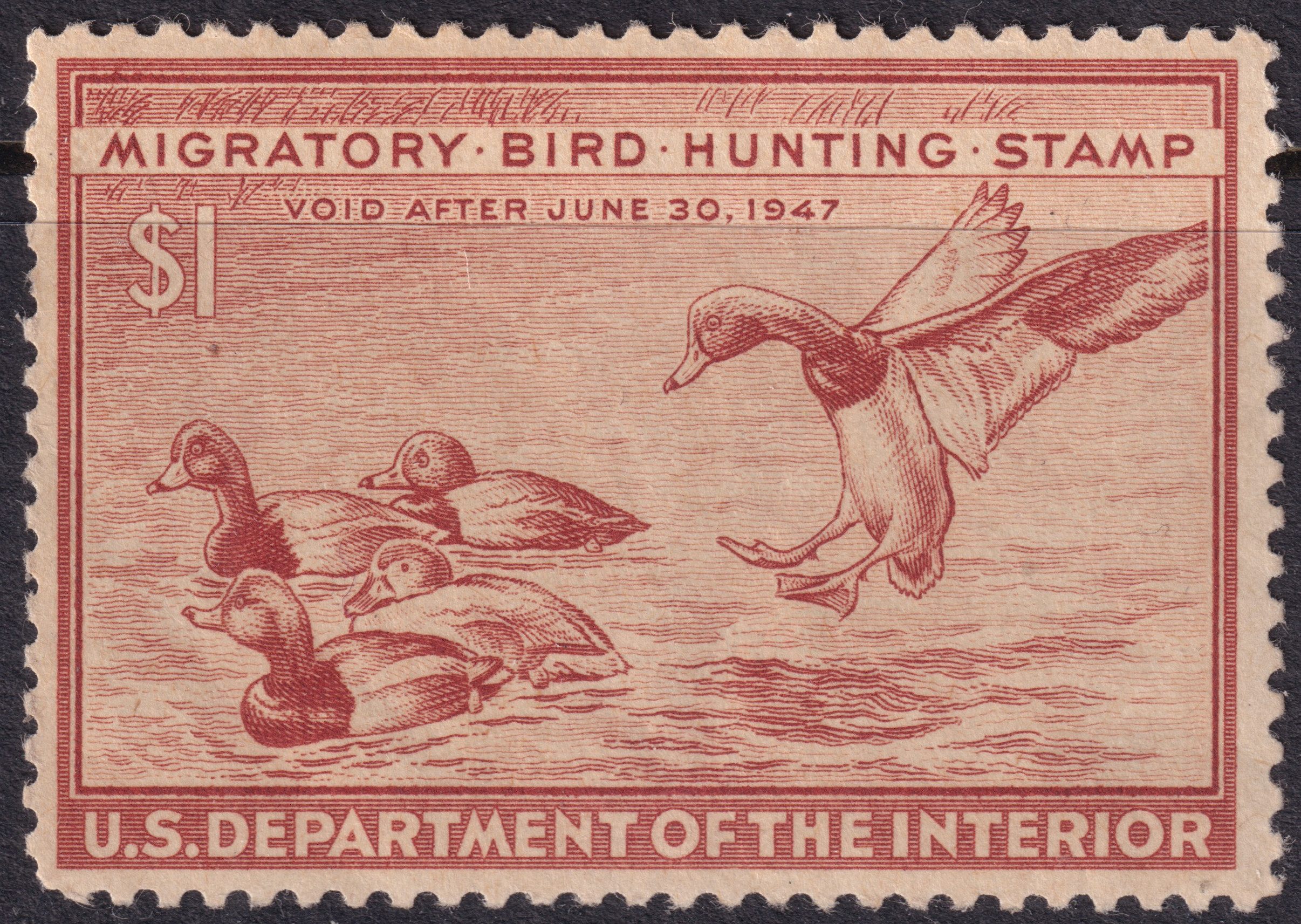 Stamp Picture