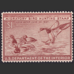 Picture of Lot #55149