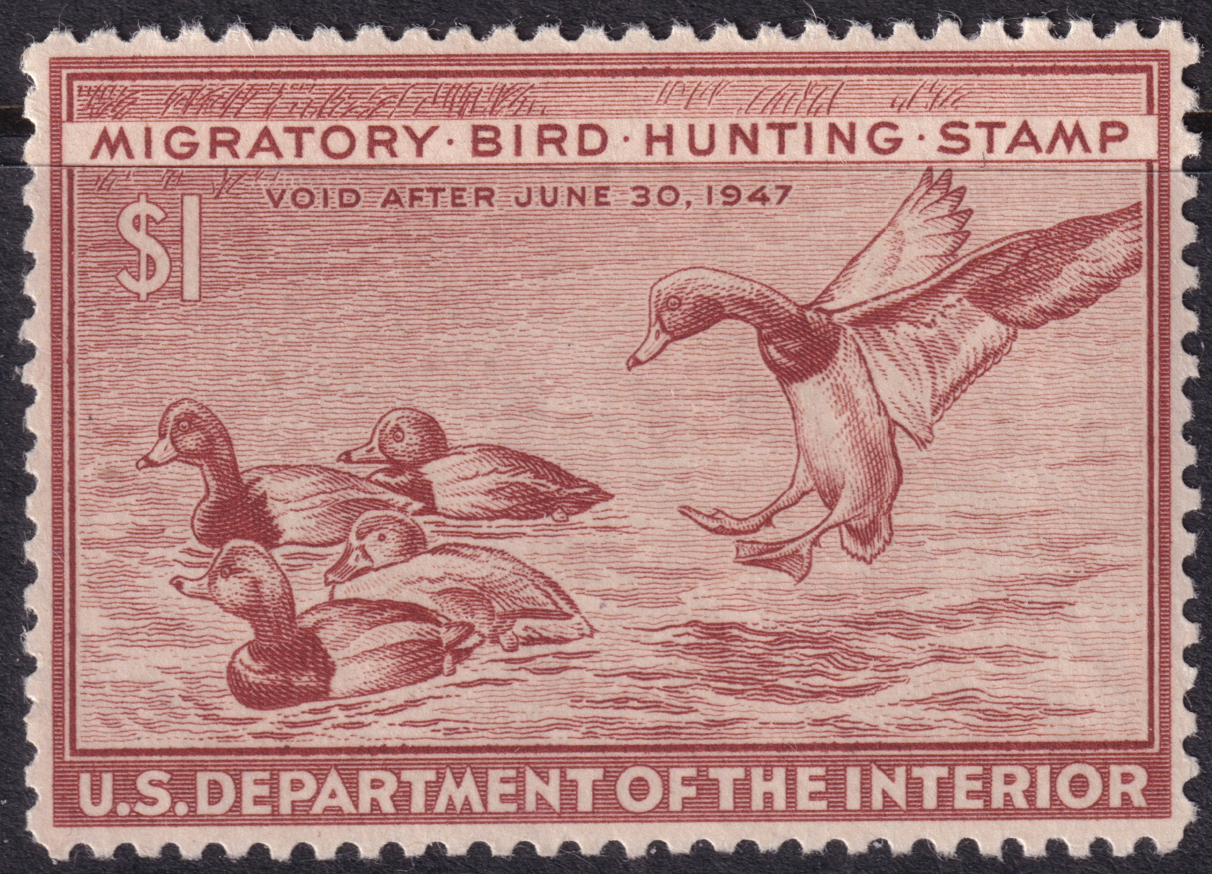 Stamp Picture