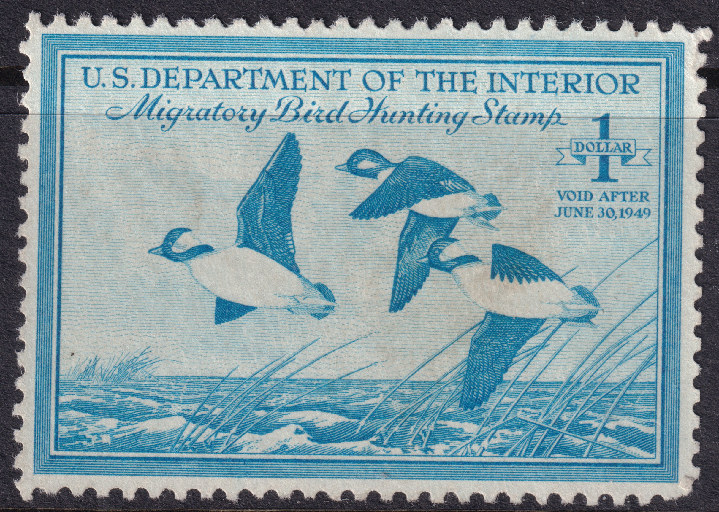 Stamp Picture