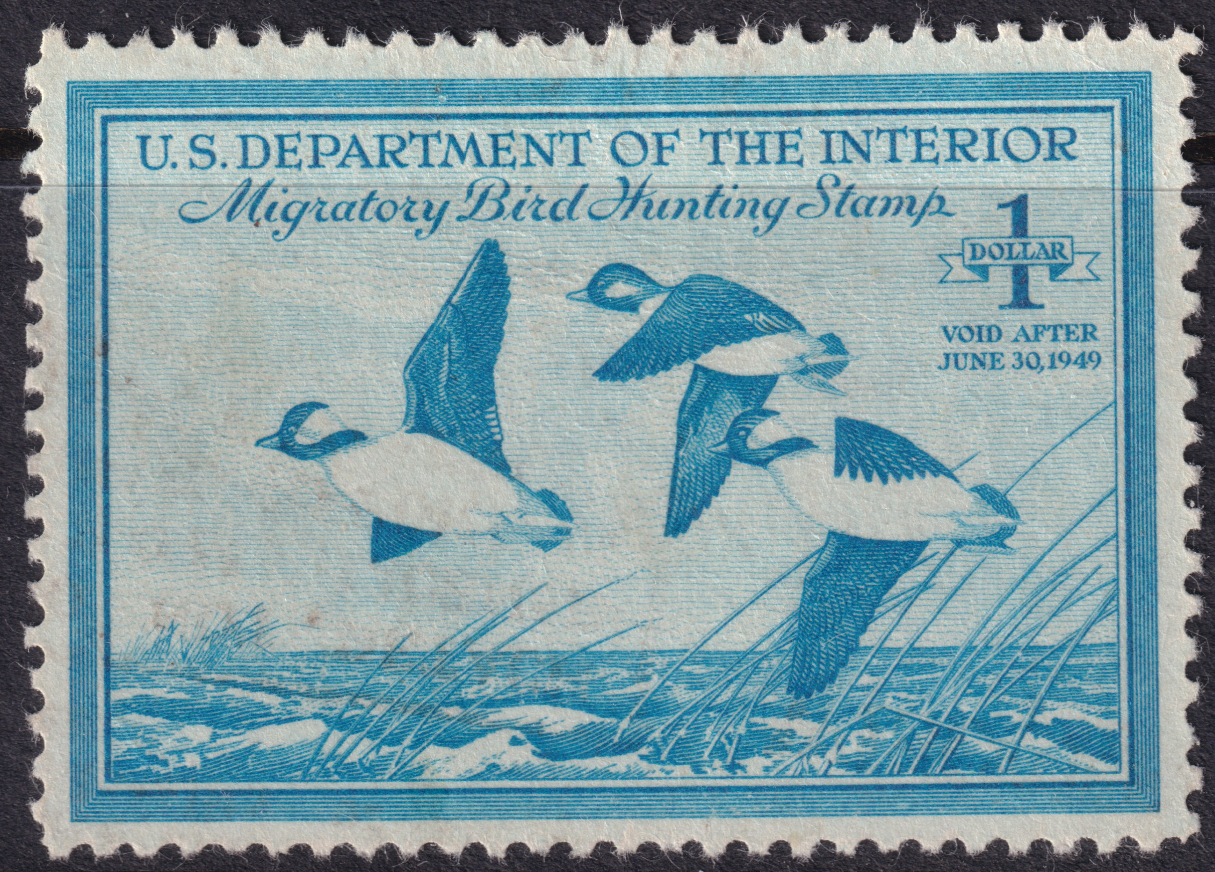 Stamp Picture
