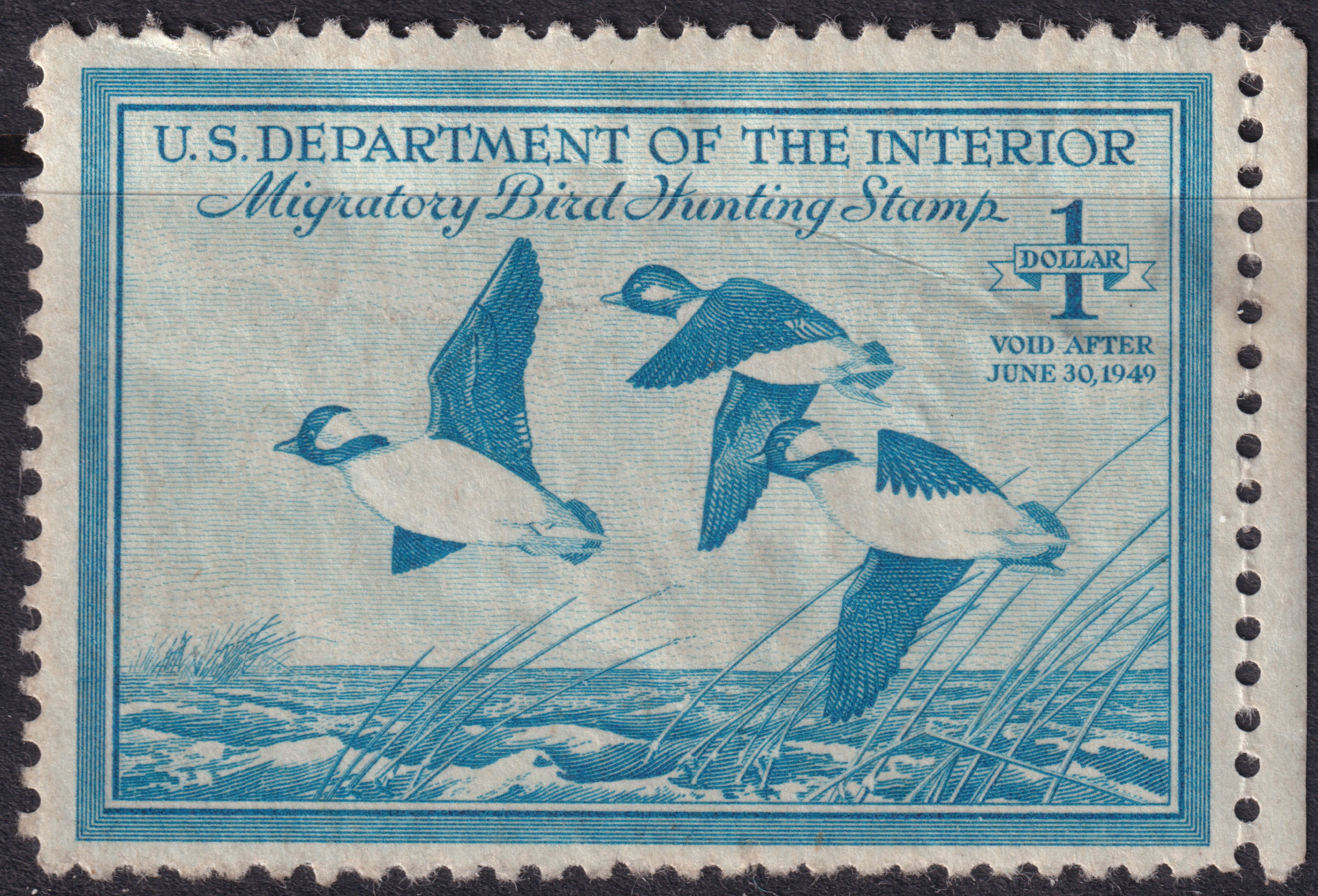 Stamp Picture