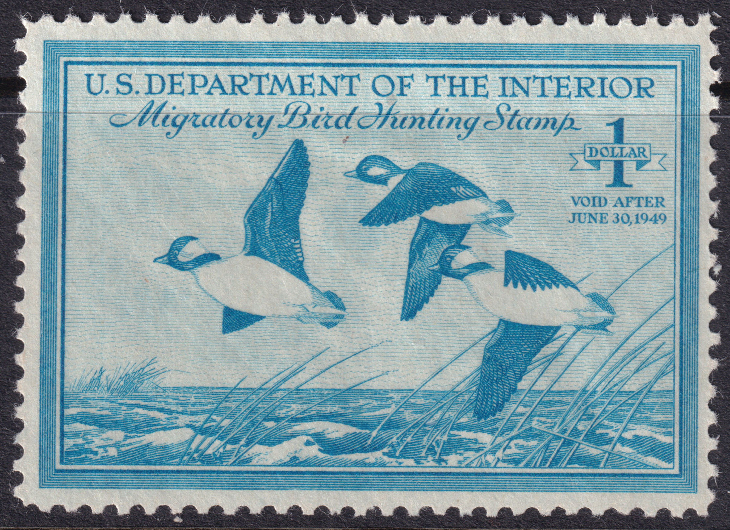 Stamp Picture