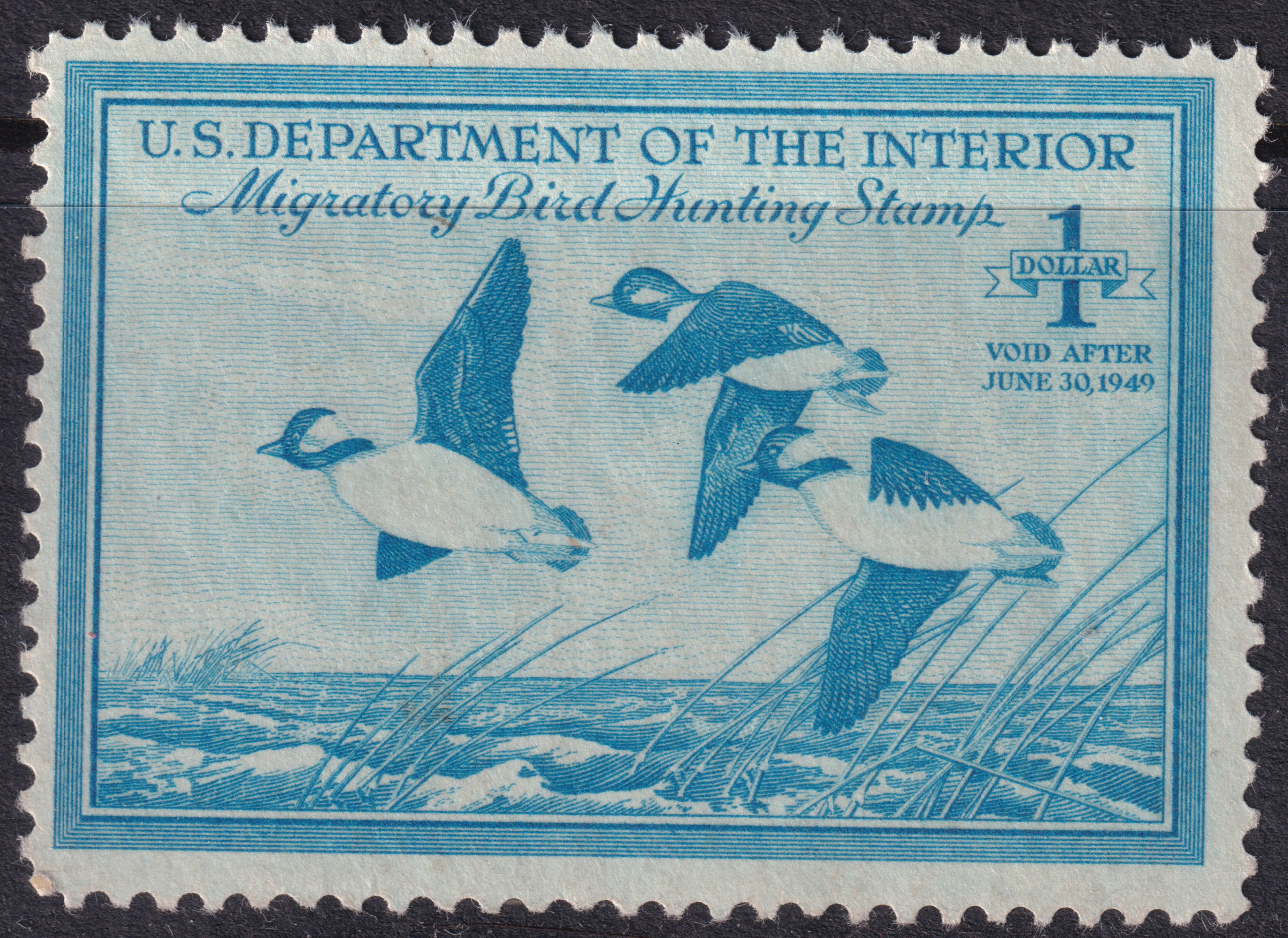 Stamp Picture