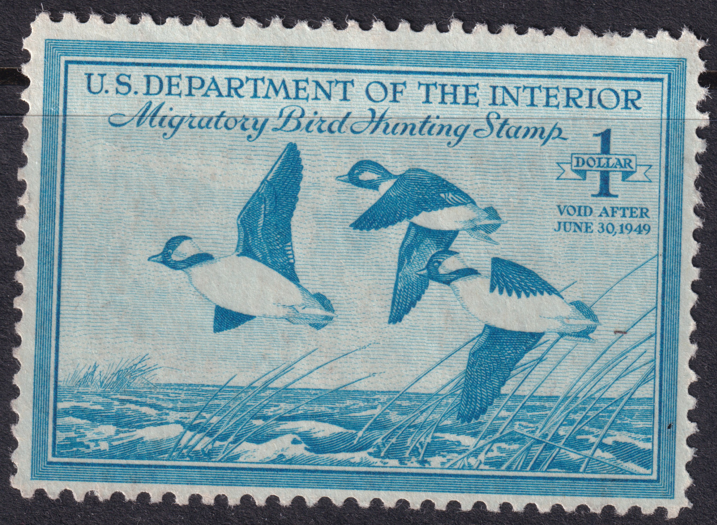 Stamp Picture