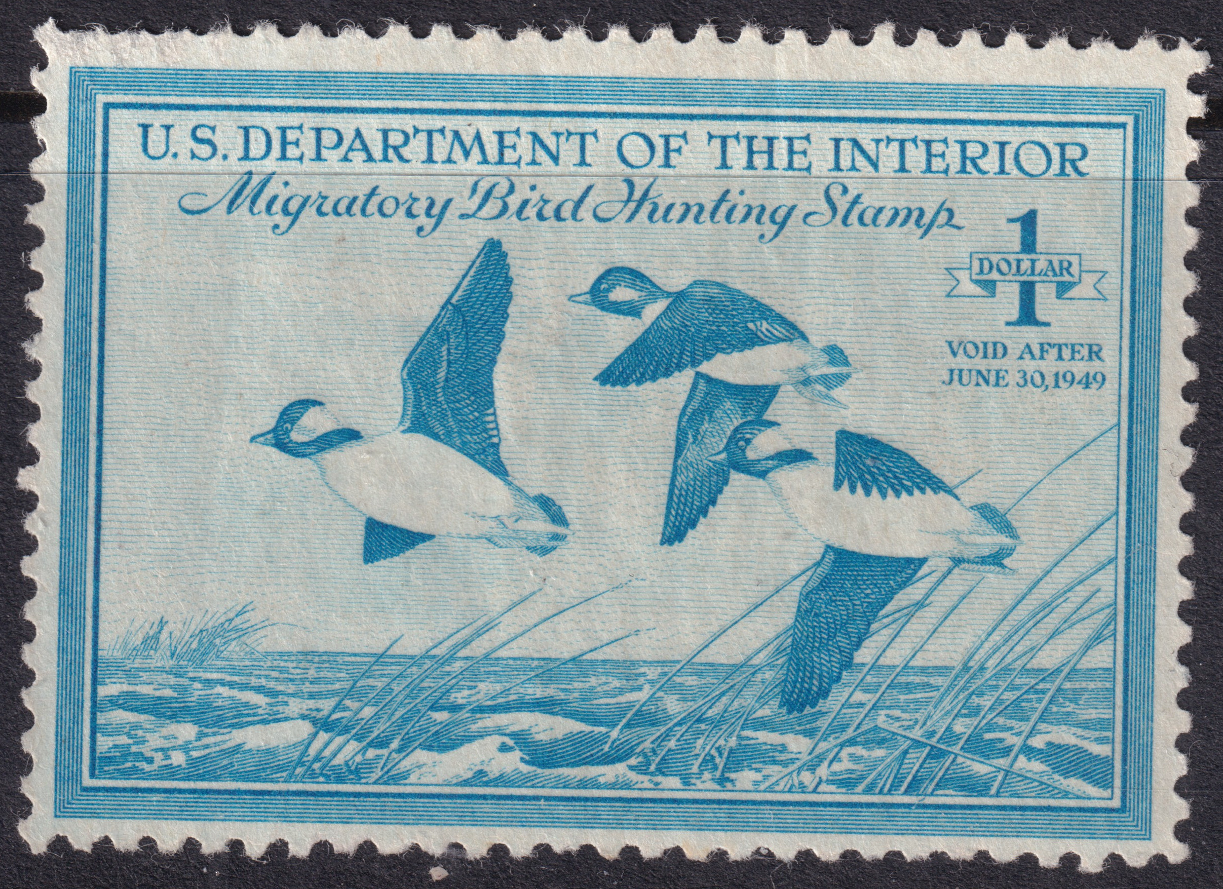 Stamp Picture