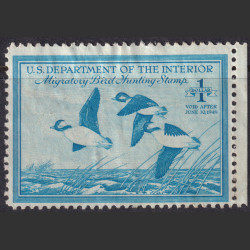 Picture of Lot #55174