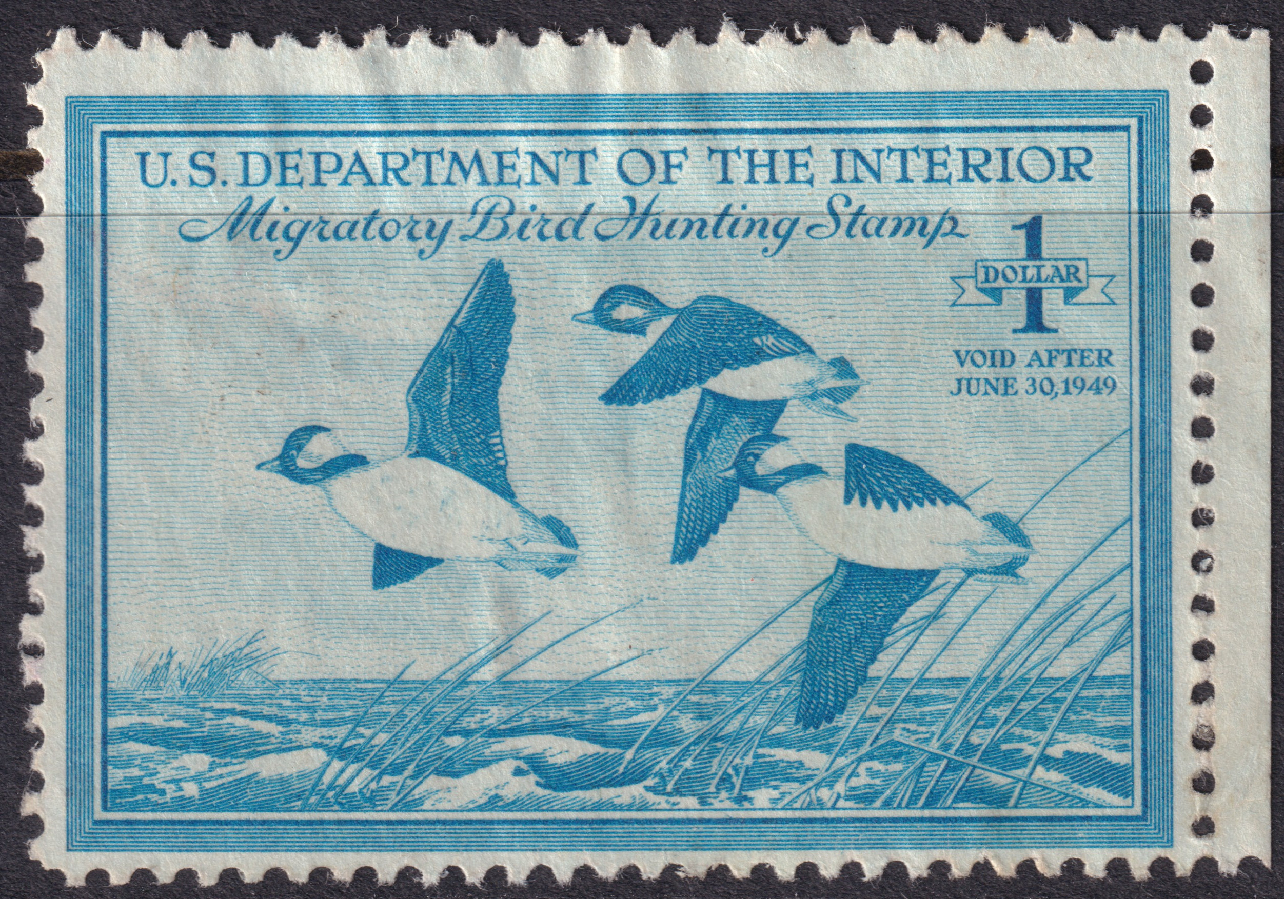 Stamp Picture