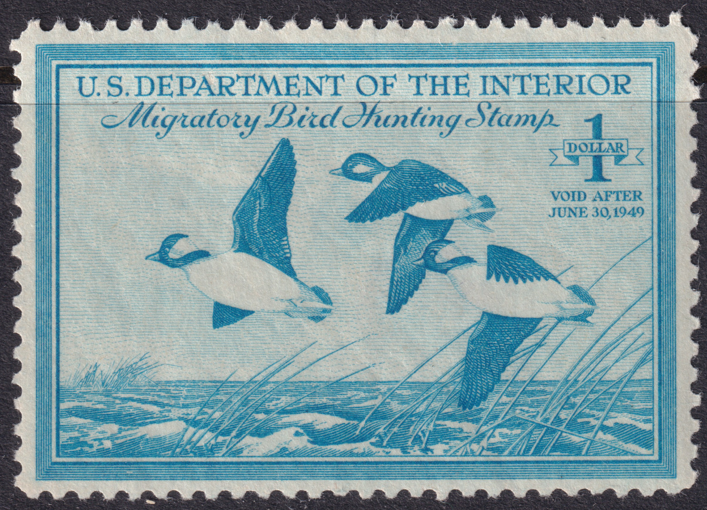 Stamp Picture