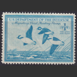 Picture of Lot #55176