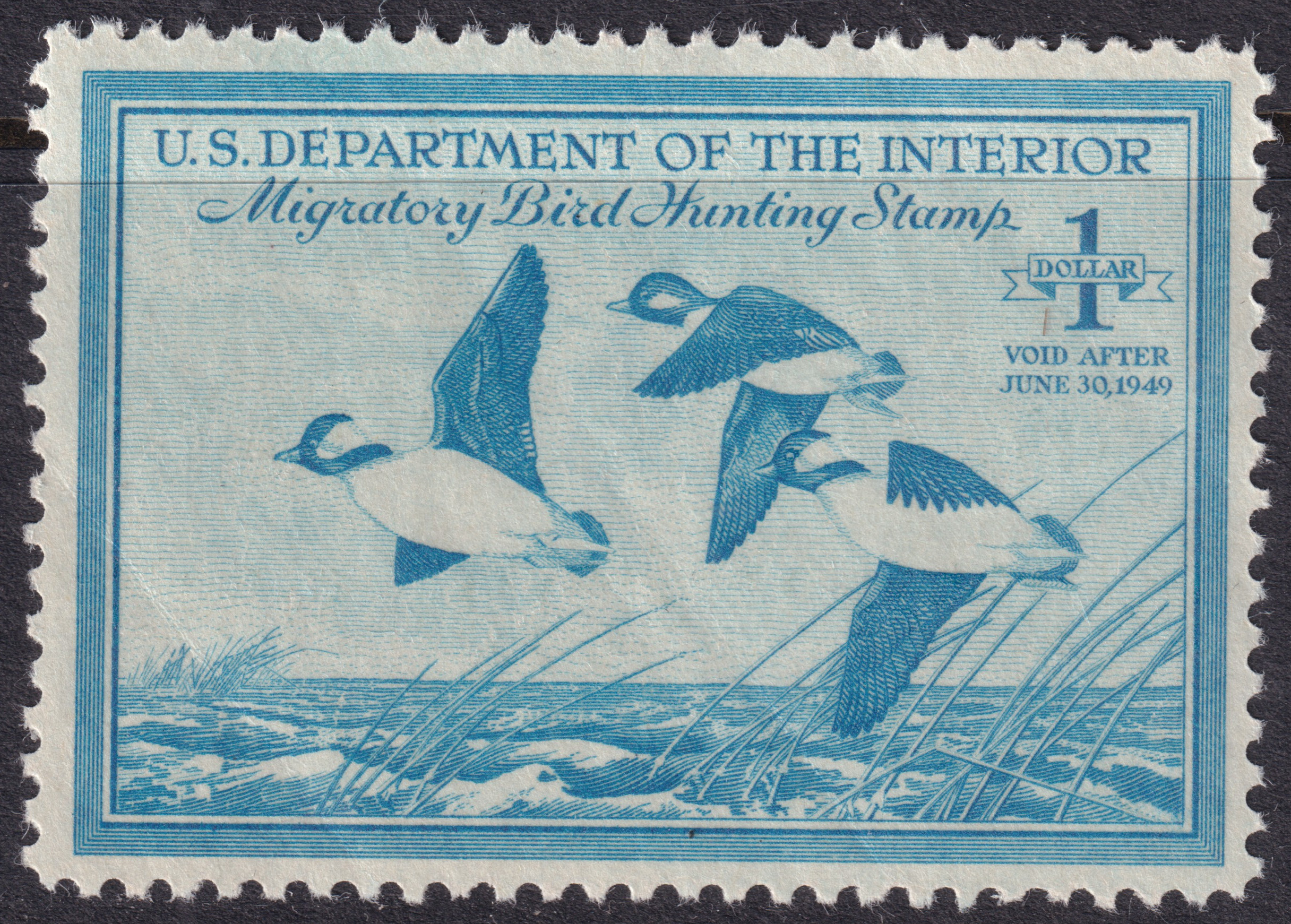 Stamp Picture