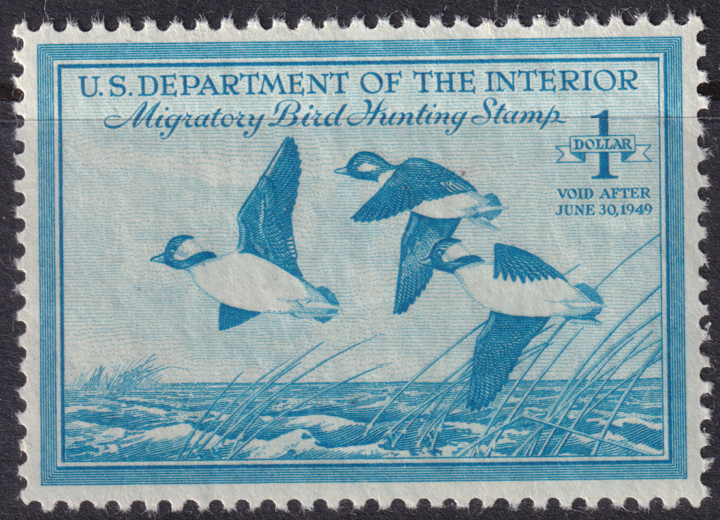 Stamp Picture
