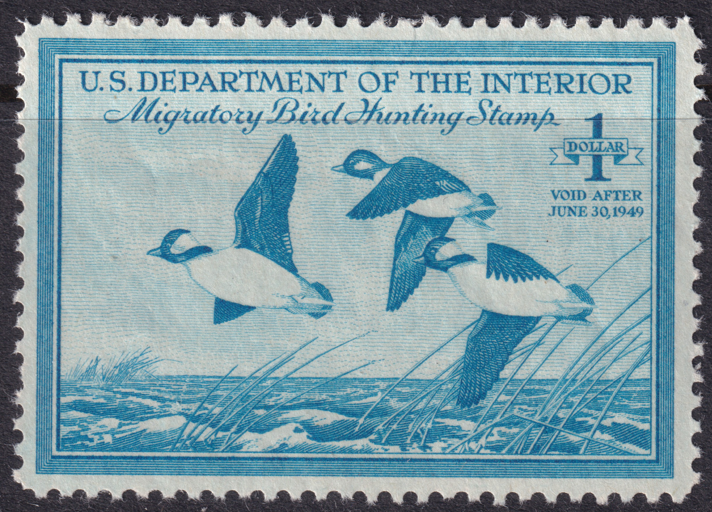 Stamp Picture