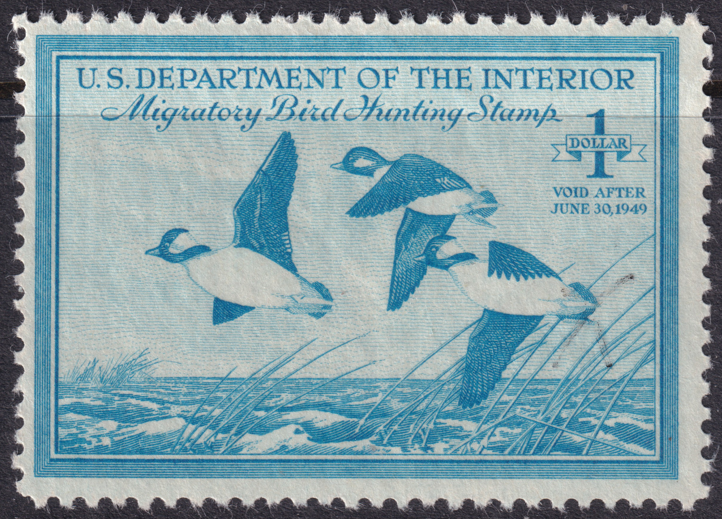 Stamp Picture
