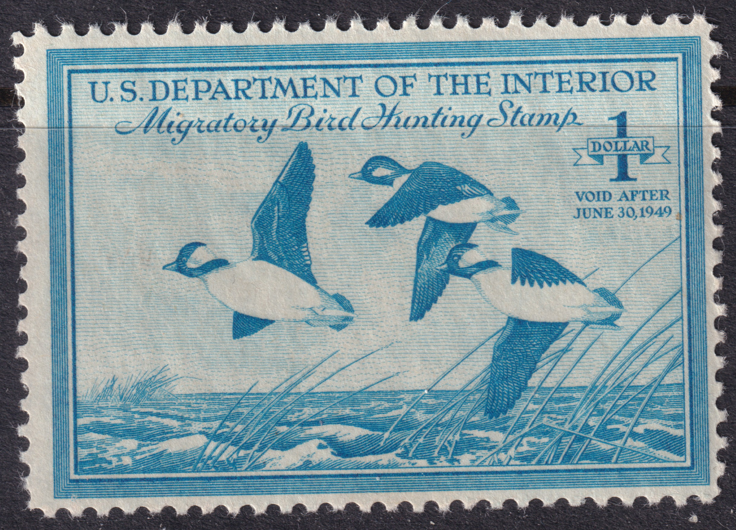 Stamp Picture
