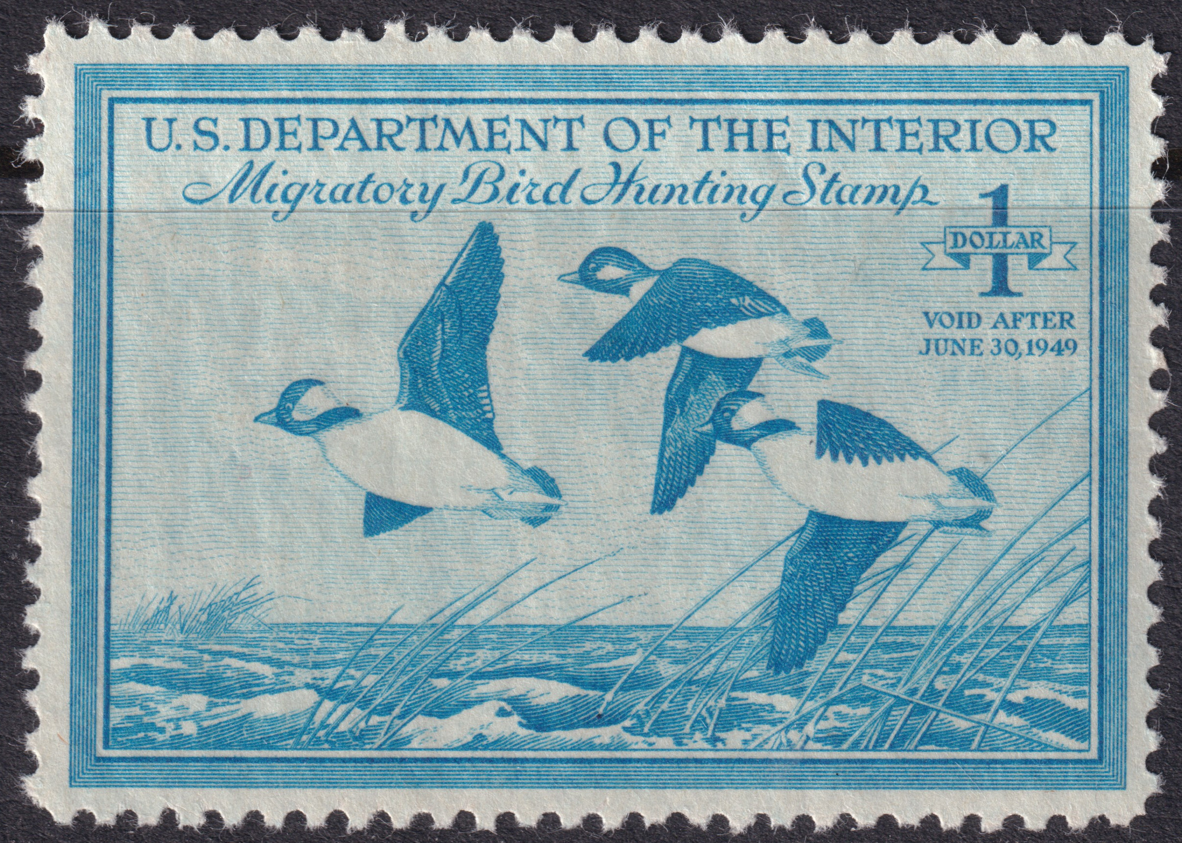 Stamp Picture