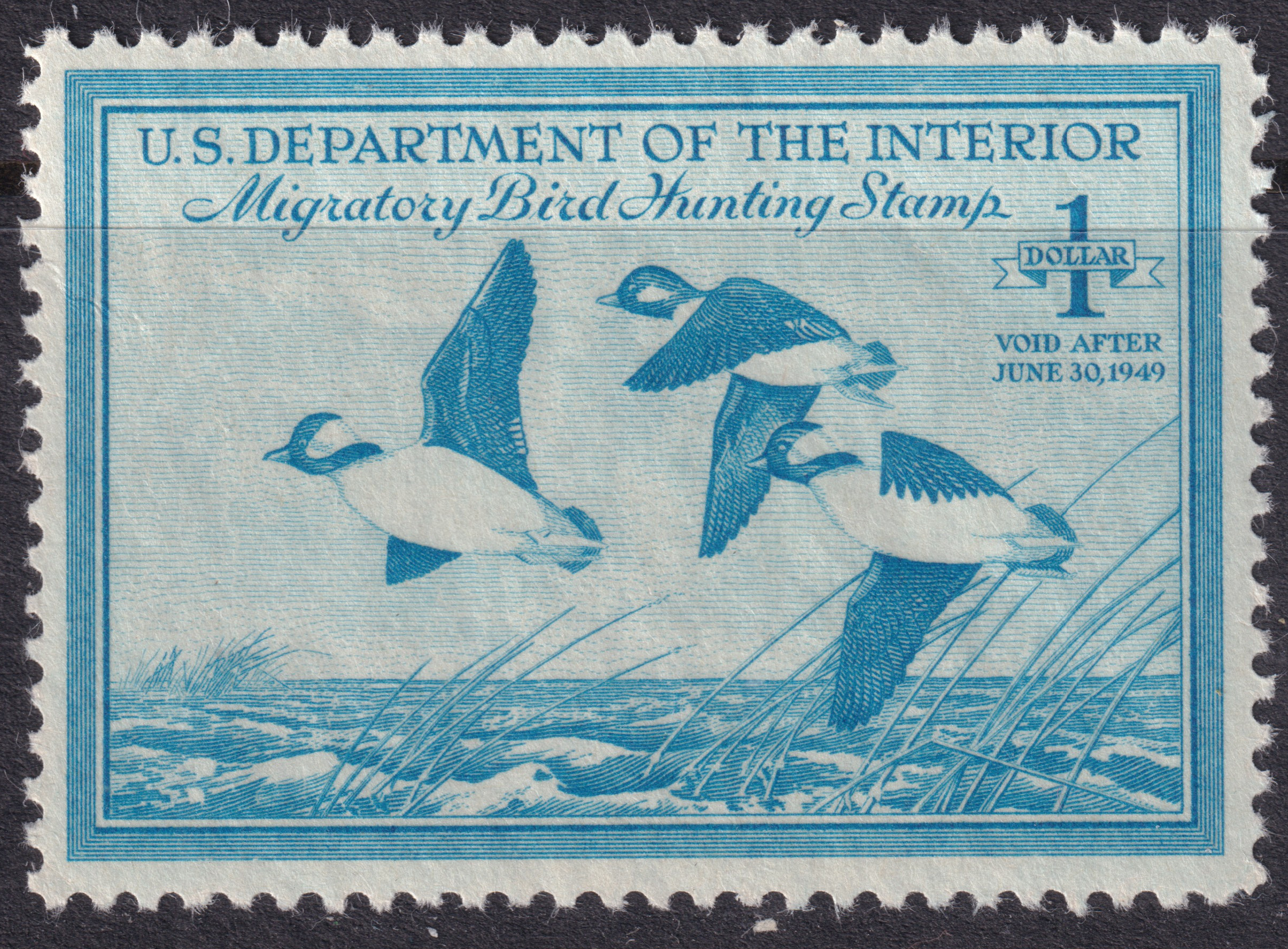 Stamp Picture