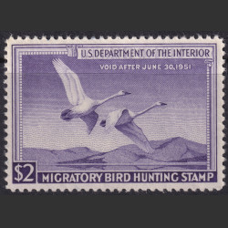 Picture of Lot #55199