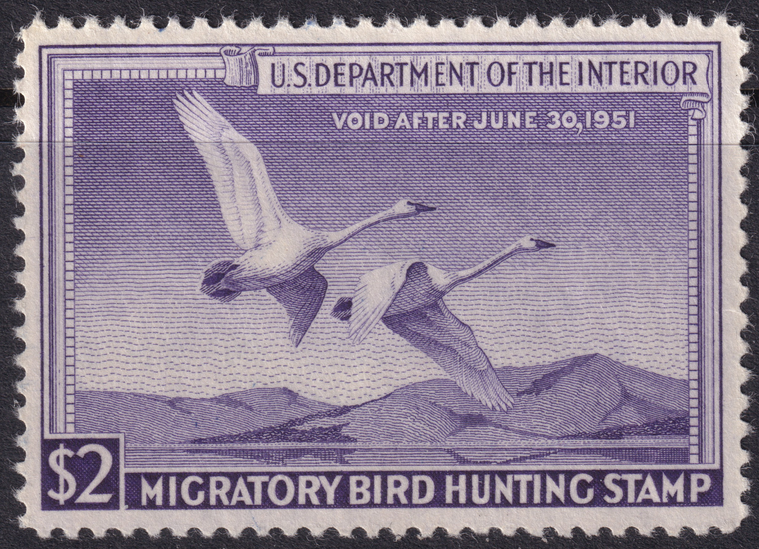 Stamp Picture