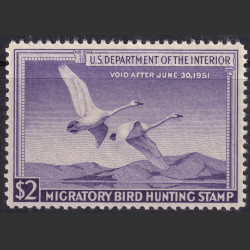 Picture of Lot #55200