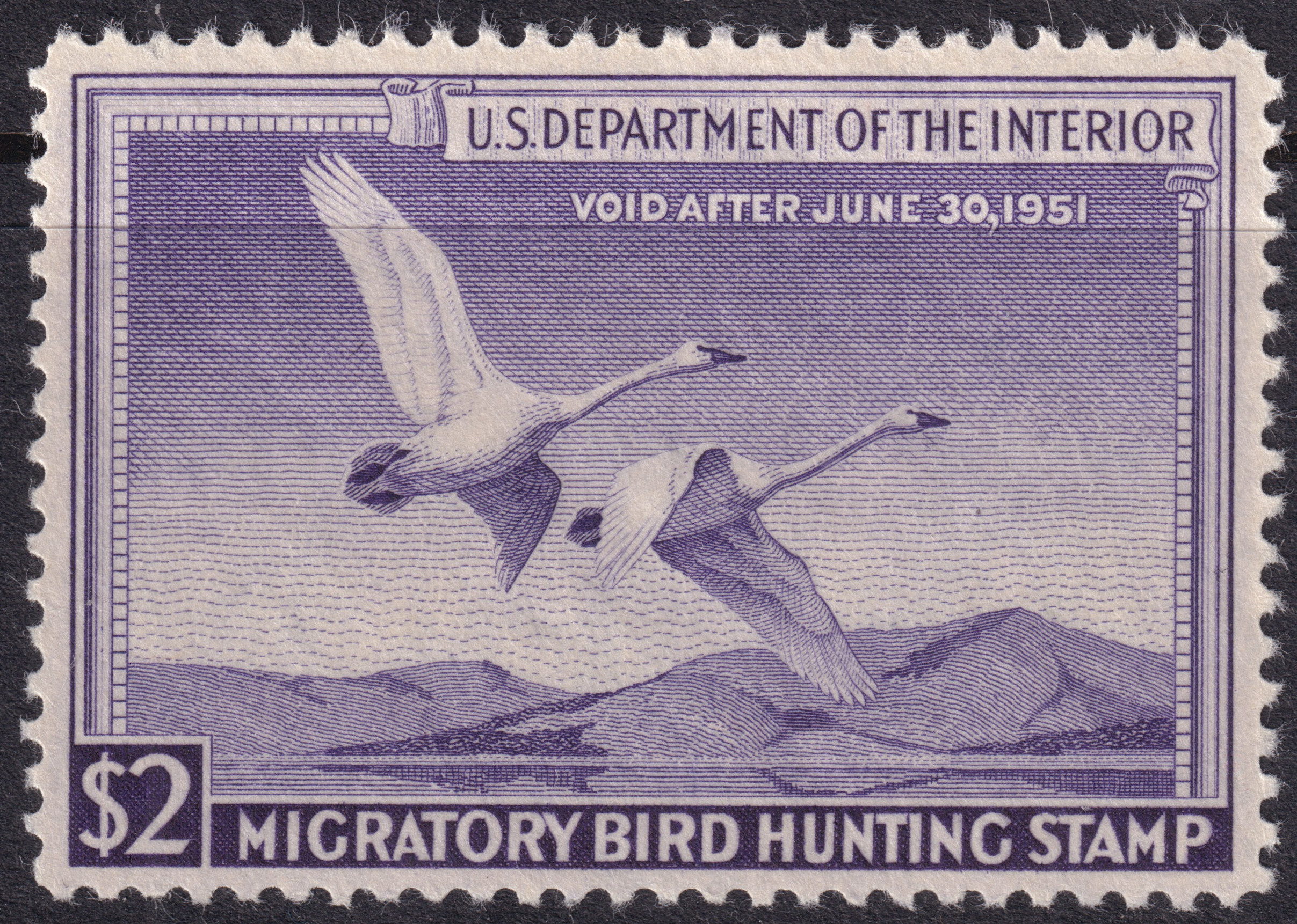 Stamp Picture