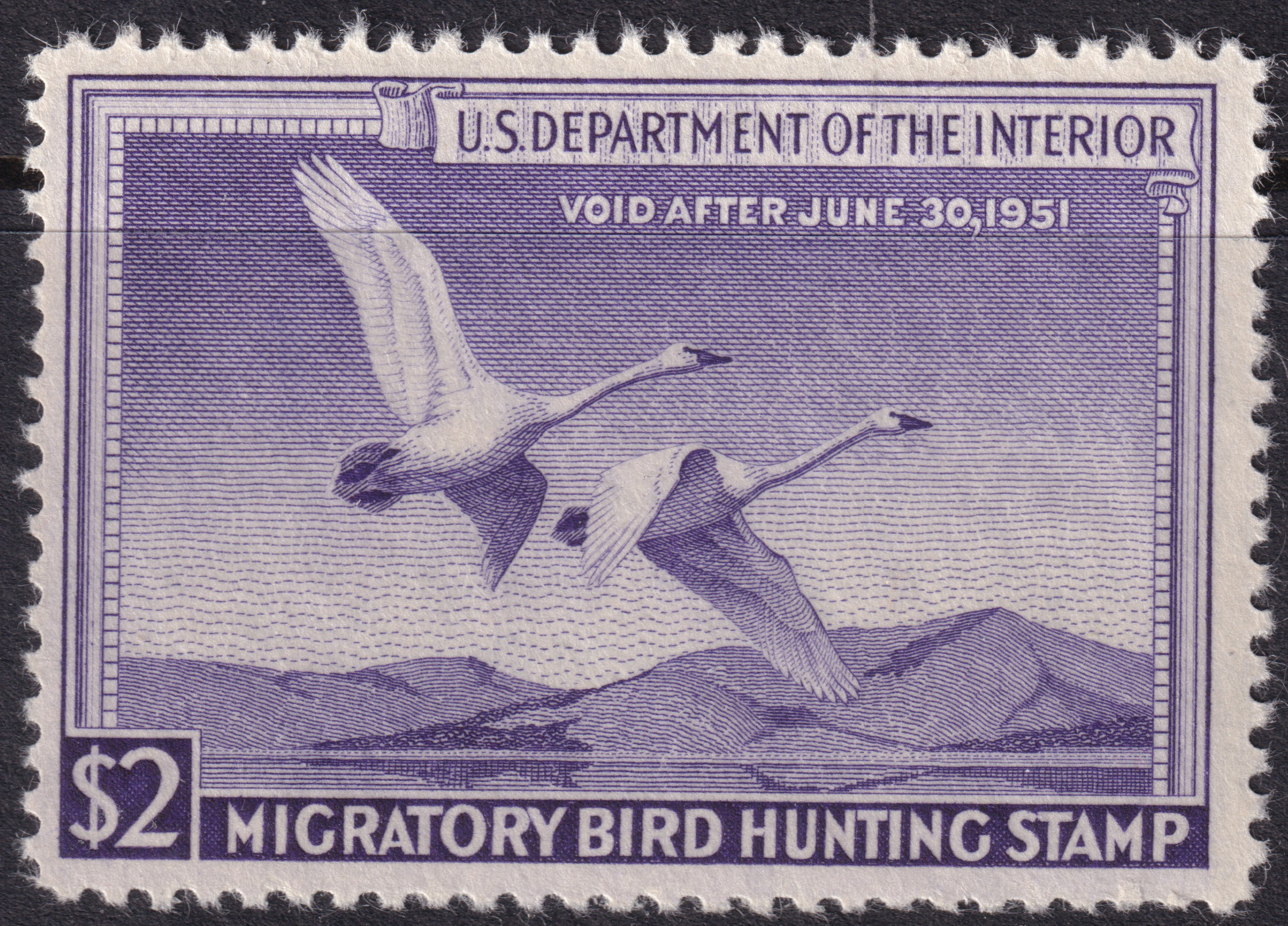 Stamp Picture