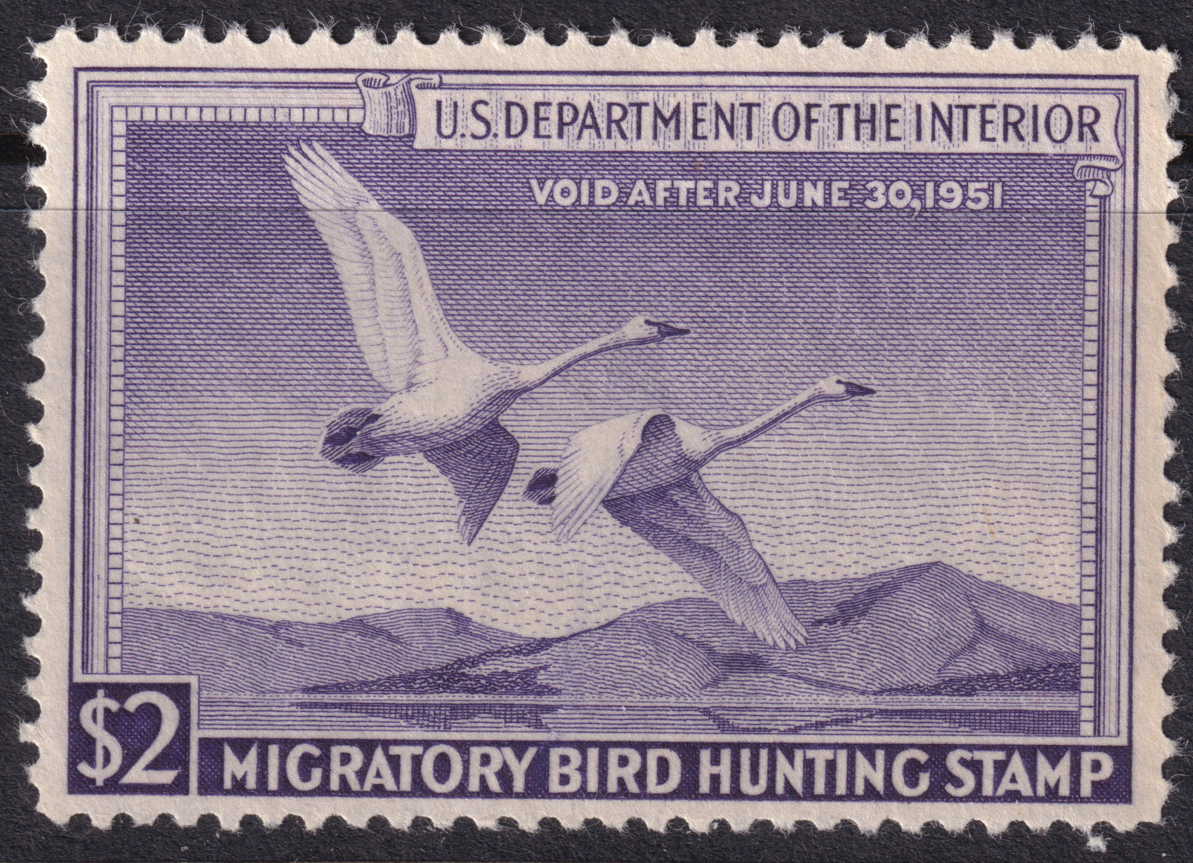 Stamp Picture
