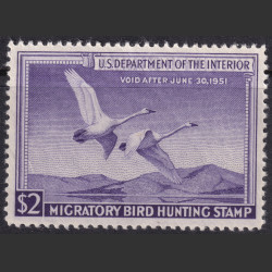 Picture of Lot #55203