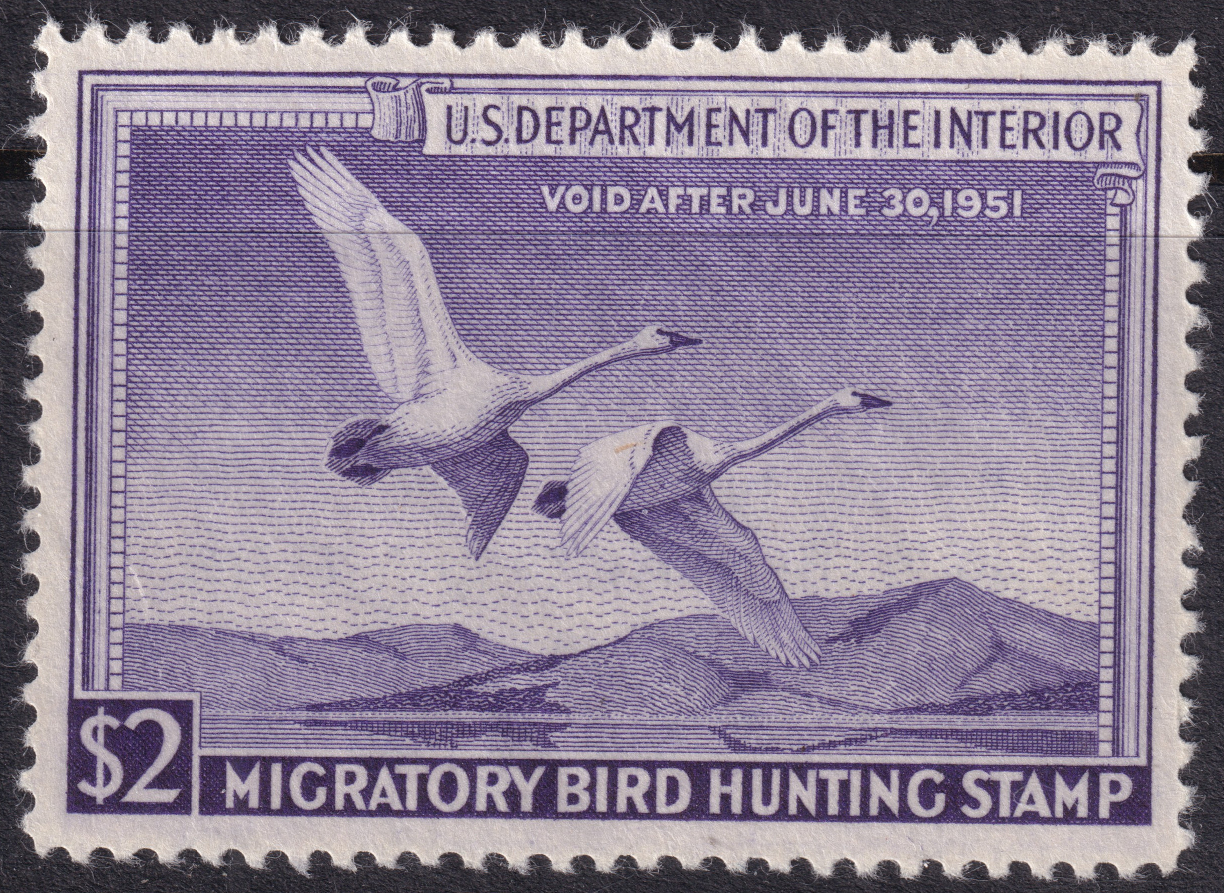 Stamp Picture