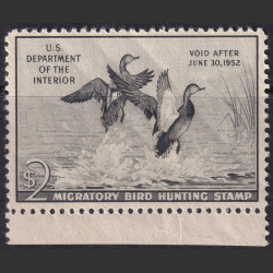Picture of Lot #55204